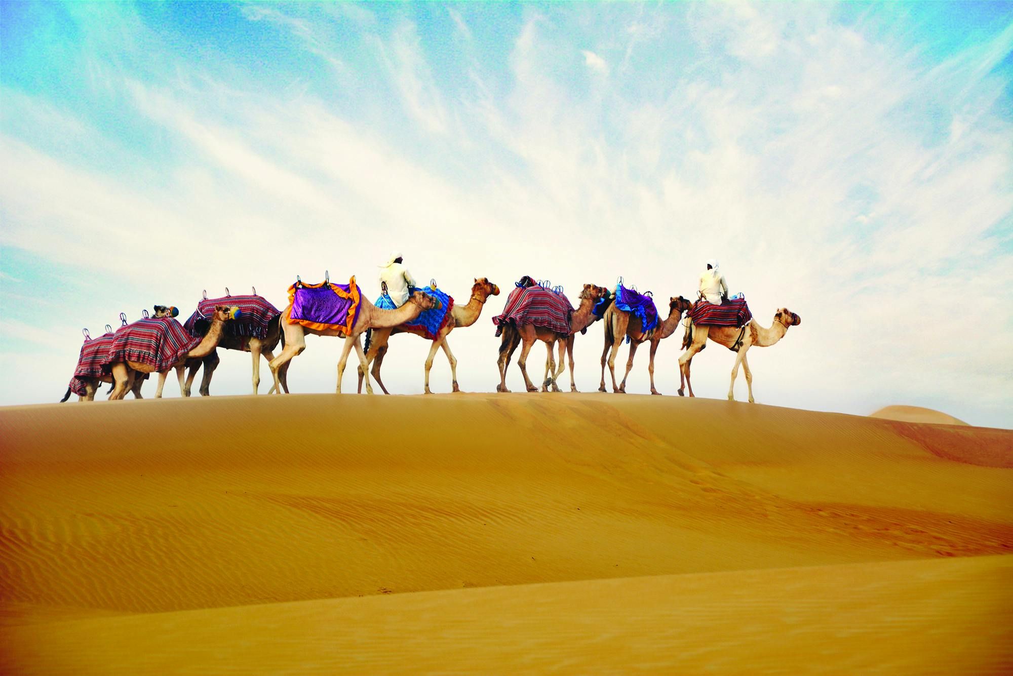 Imagen del tour: Paseo en camello con cena opcional en el campamento de Ras Al Khaimah