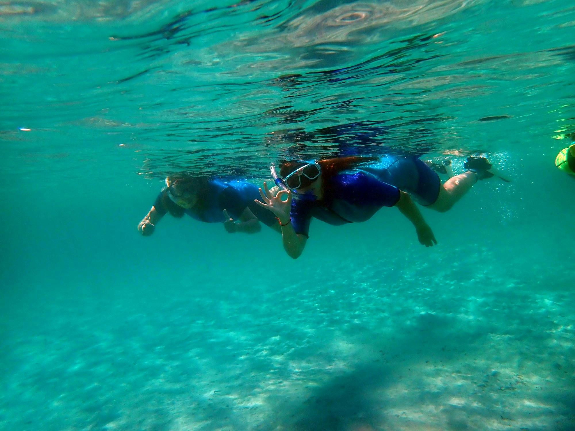 Imagen del tour: Excursión de snorkel a la isla de Tabarca desde Santa Pola