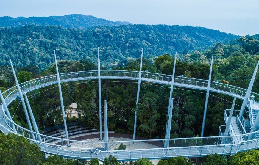 Imagen del tour: El boleto estándar autoguiado por el dosel y la caminata por las copas de los árboles de Habitat Penang Hill