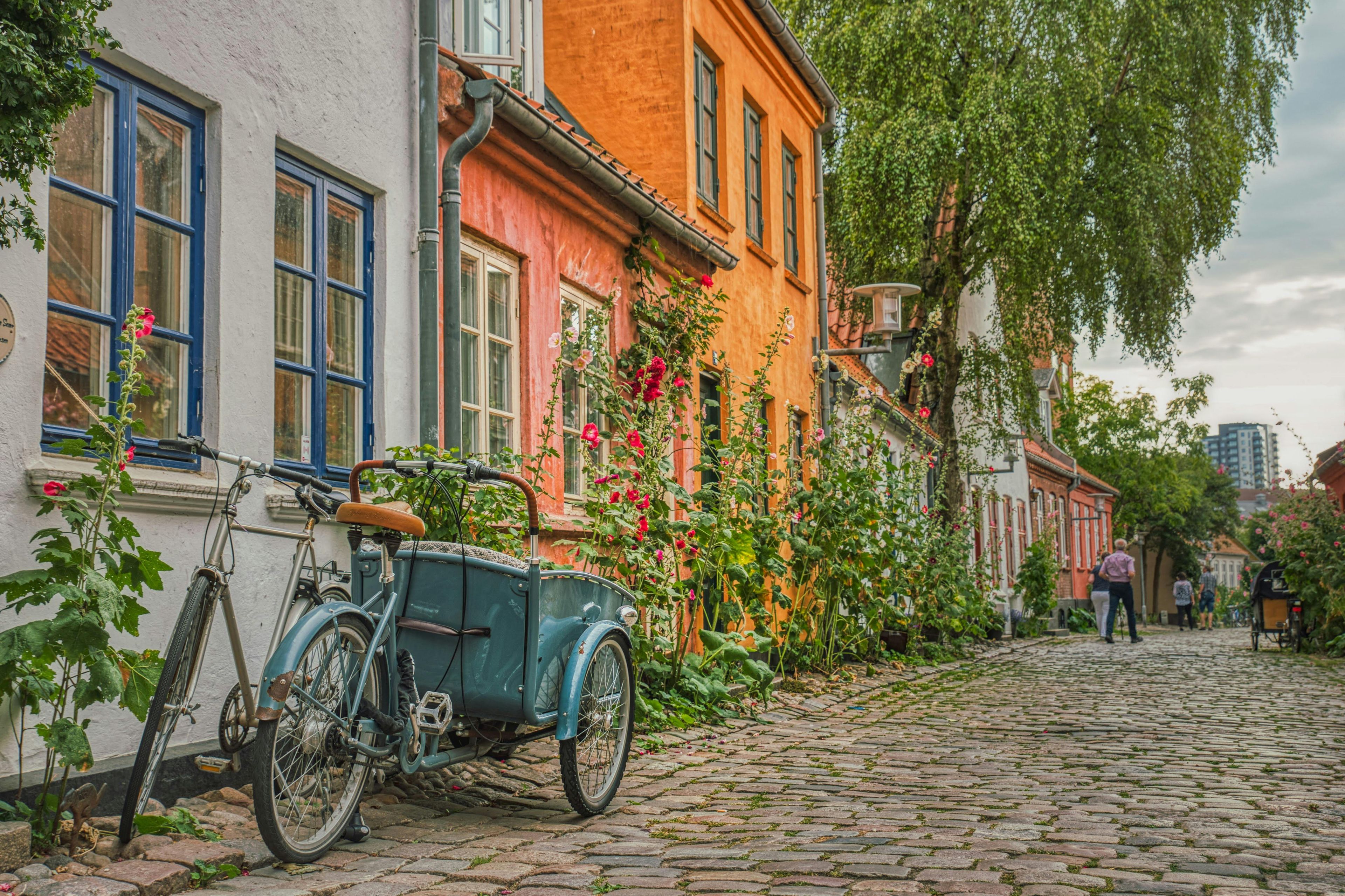 Imagen del tour: Recorrido a pie privado por lo más destacado de Aarhus