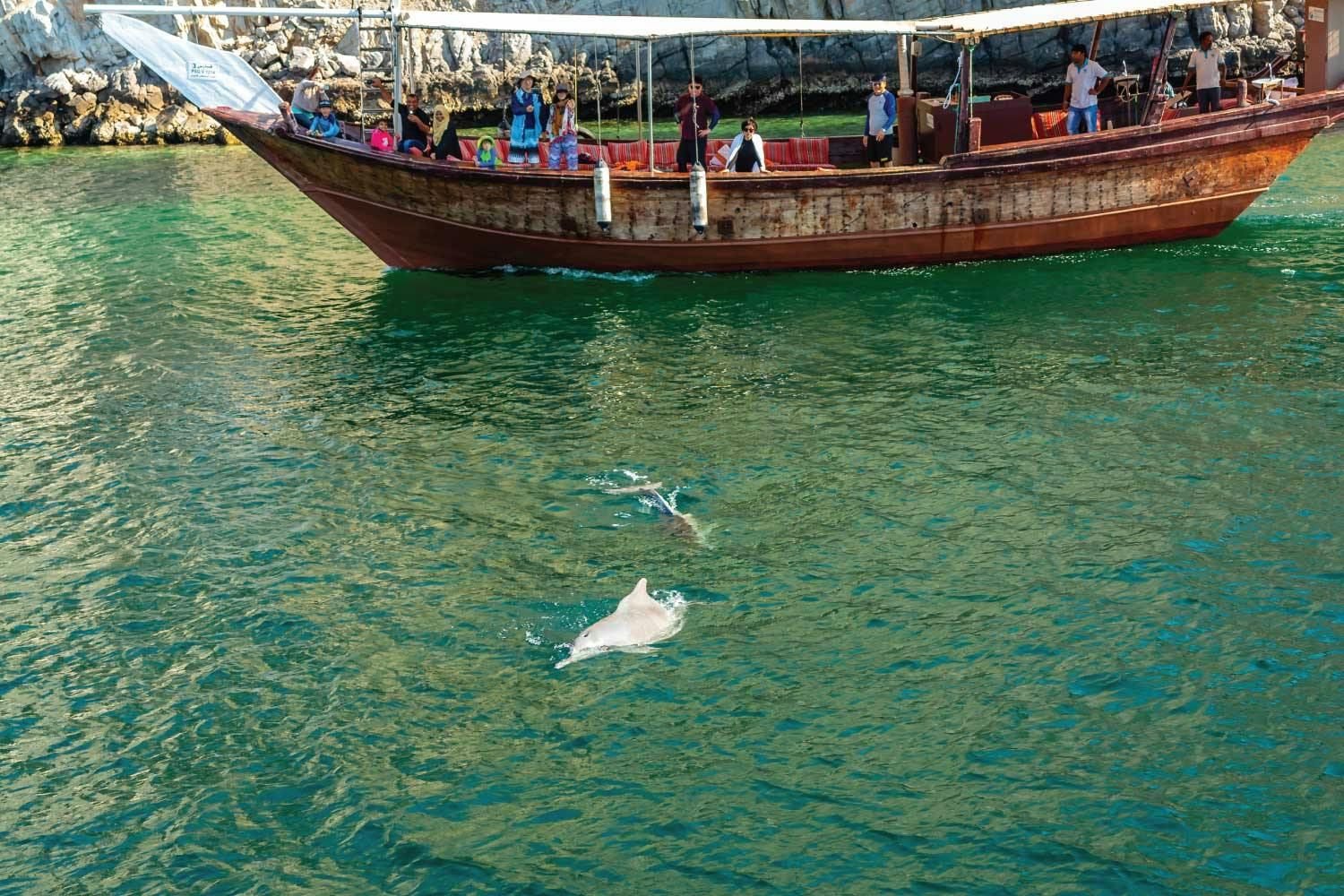 Imagen del tour: Crucero matutino con delfines en Mascate