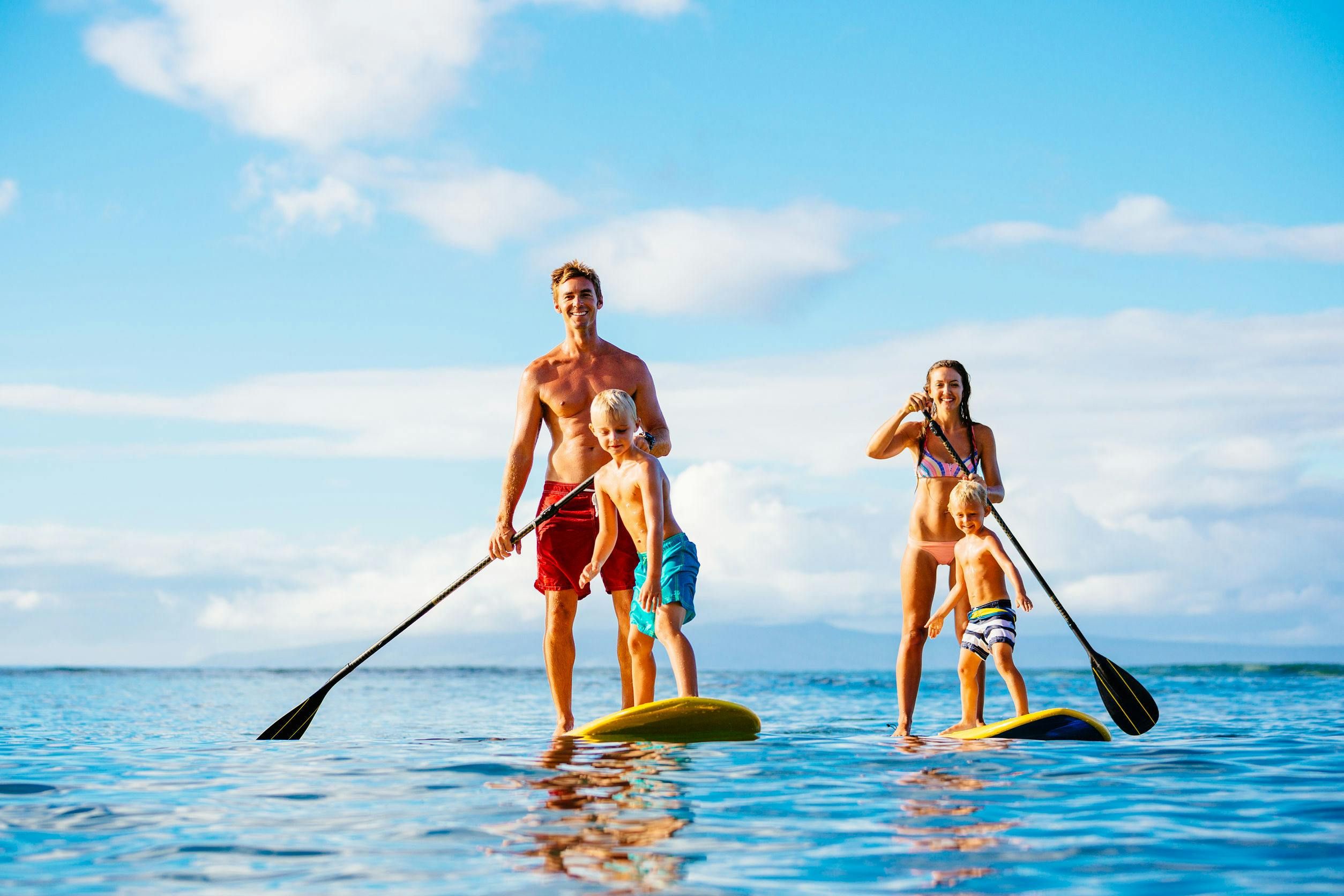 Imagen del tour: Stand Up Paddle Wildlife Tour y excursión de un día a la playa 4x4 Noosa