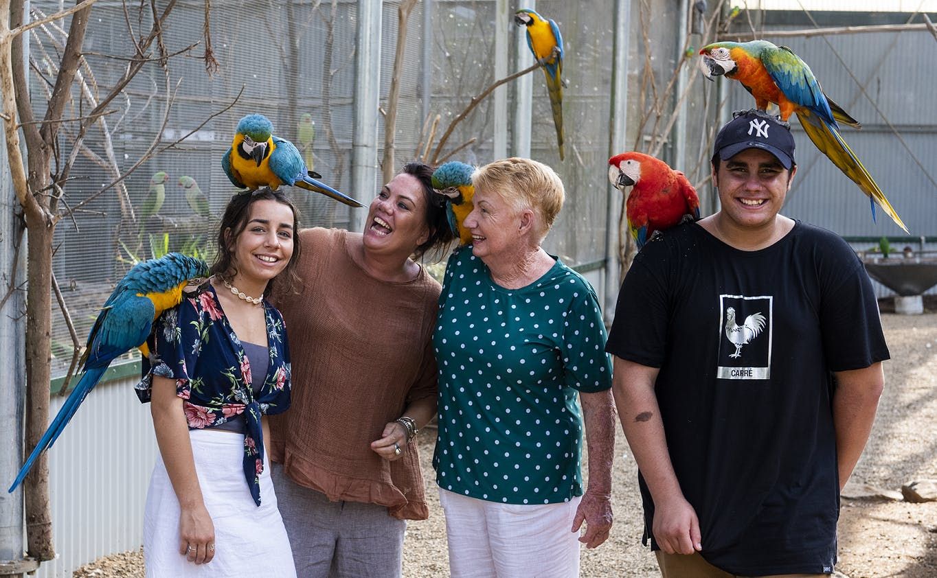 Imagen del tour: Entradas a los jardines botánicos Maleny y Bird World