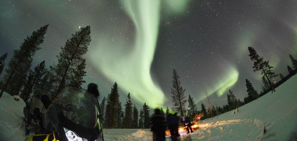 Imagen del tour: Experiencia en moto de nieve Northern Lights en Rovaniemi