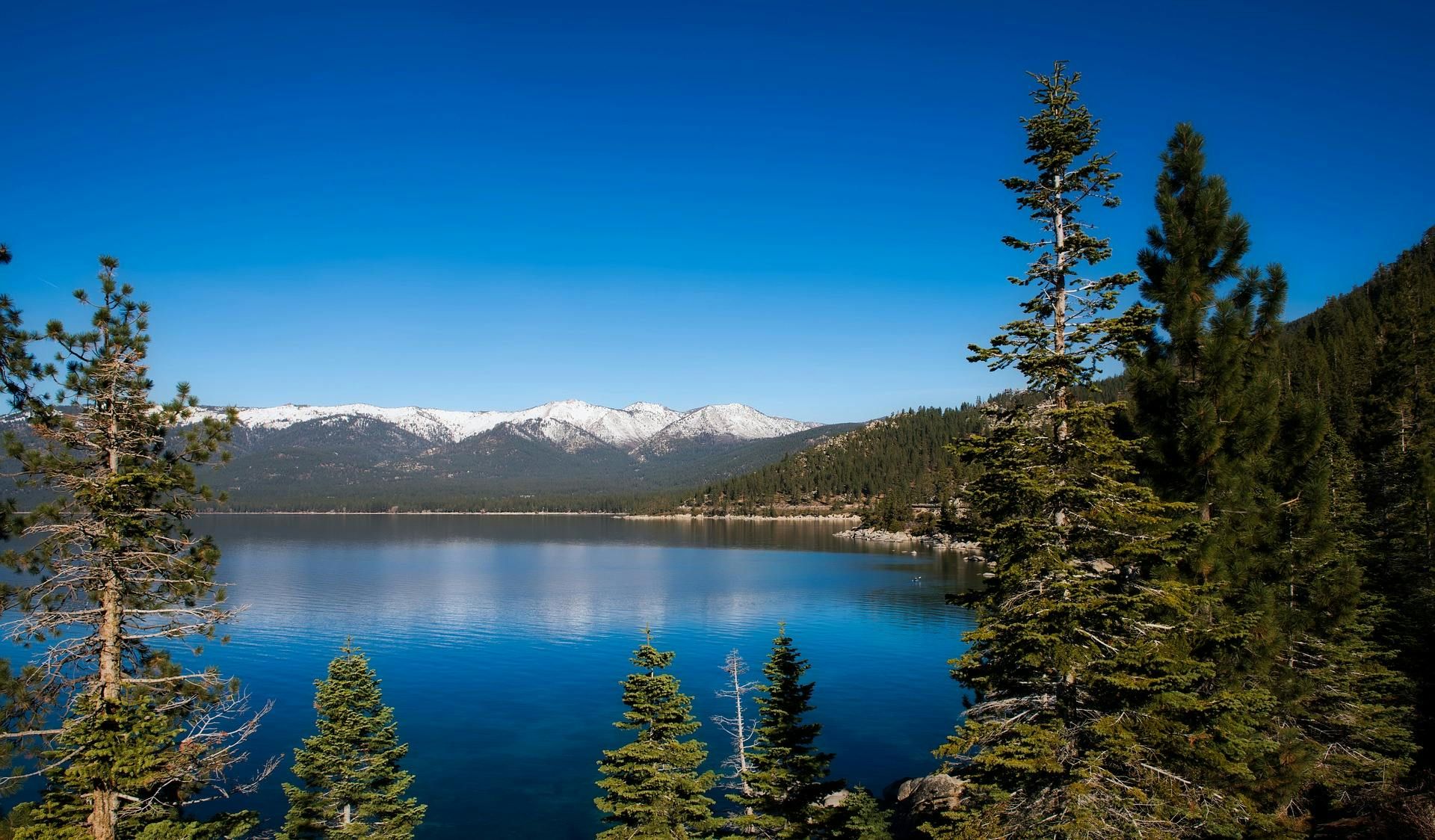 Imagen del tour: Tour autoguiado en bicicleta de día completo por el lago Tahoe