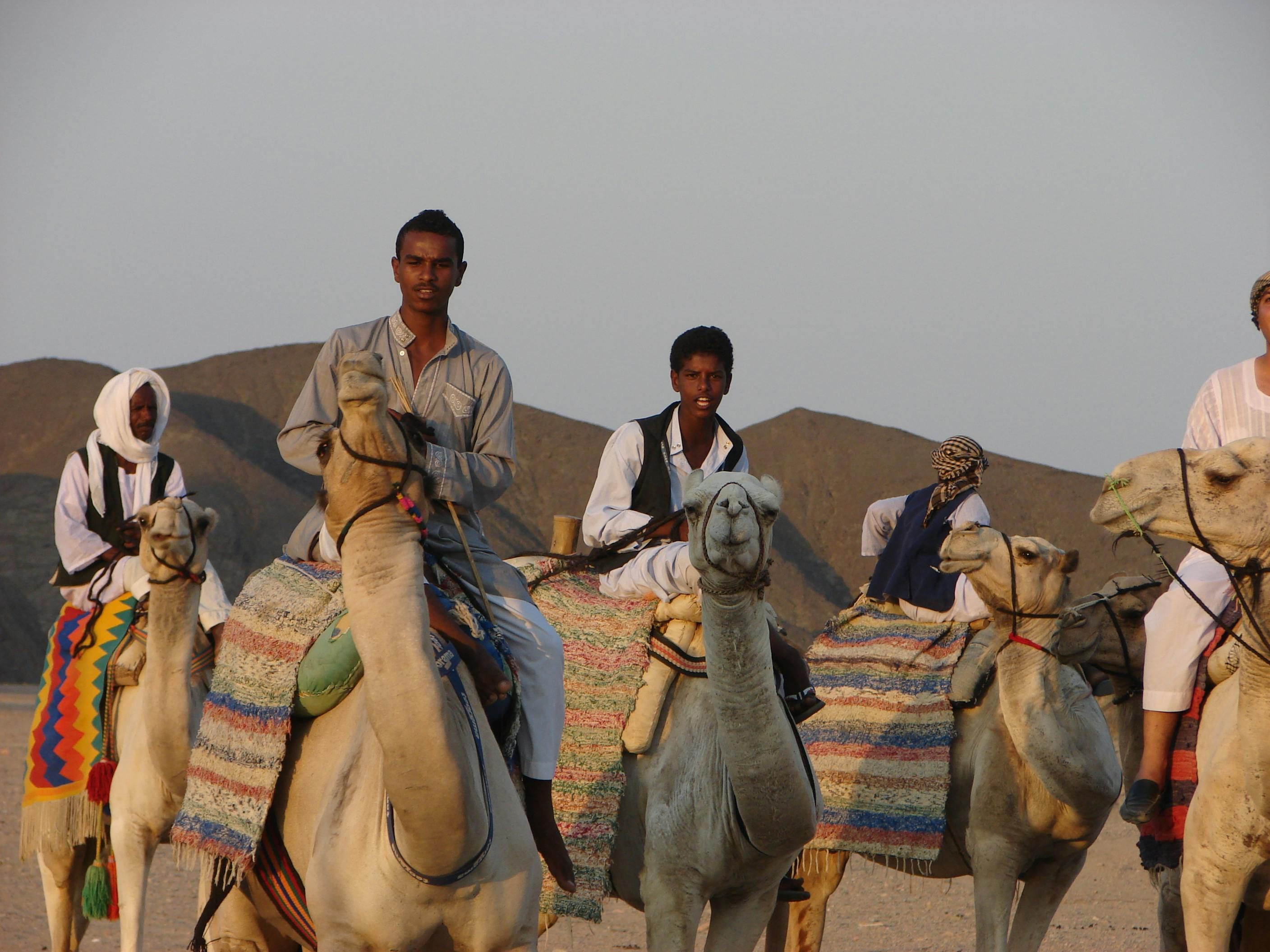 Imagen del tour: Experiencia en quad con paseo en camello por el desierto de Marsa Alam