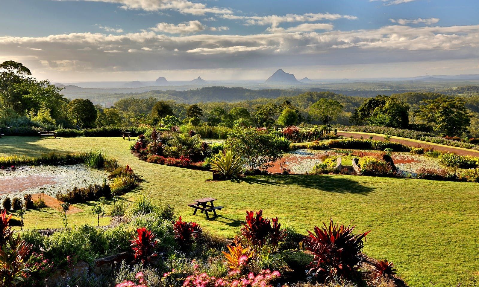 Imagen del tour: Excursión escénica de un día a los jardines botánicos de Maleny y la selva tropical con almuerzo