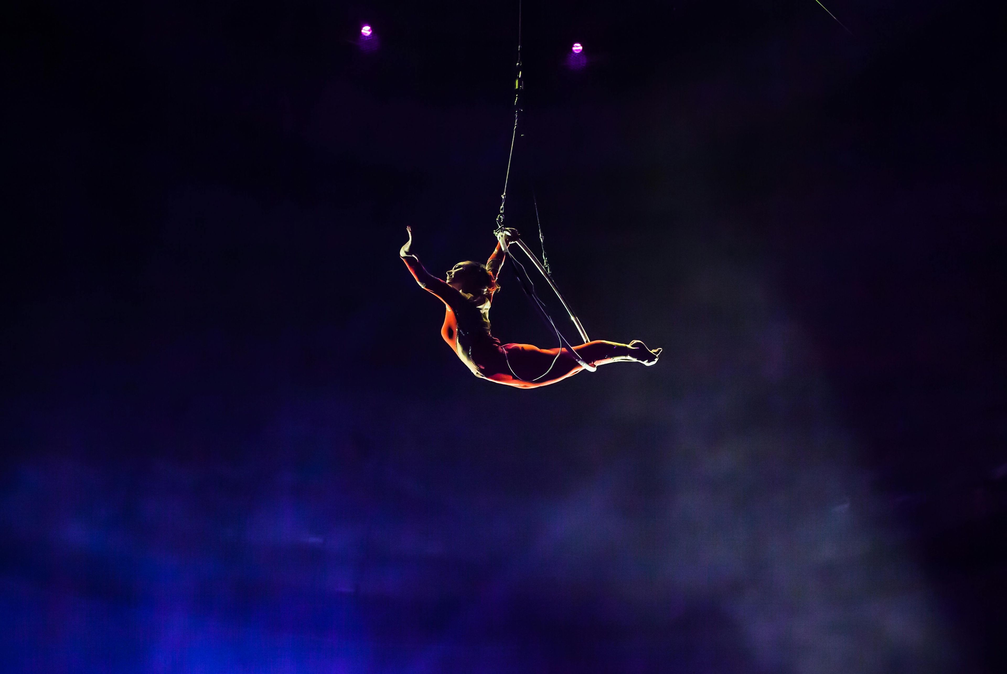 Imagen del tour: Clase gratuita de trapecio volador entre semana en el Condado de Orange