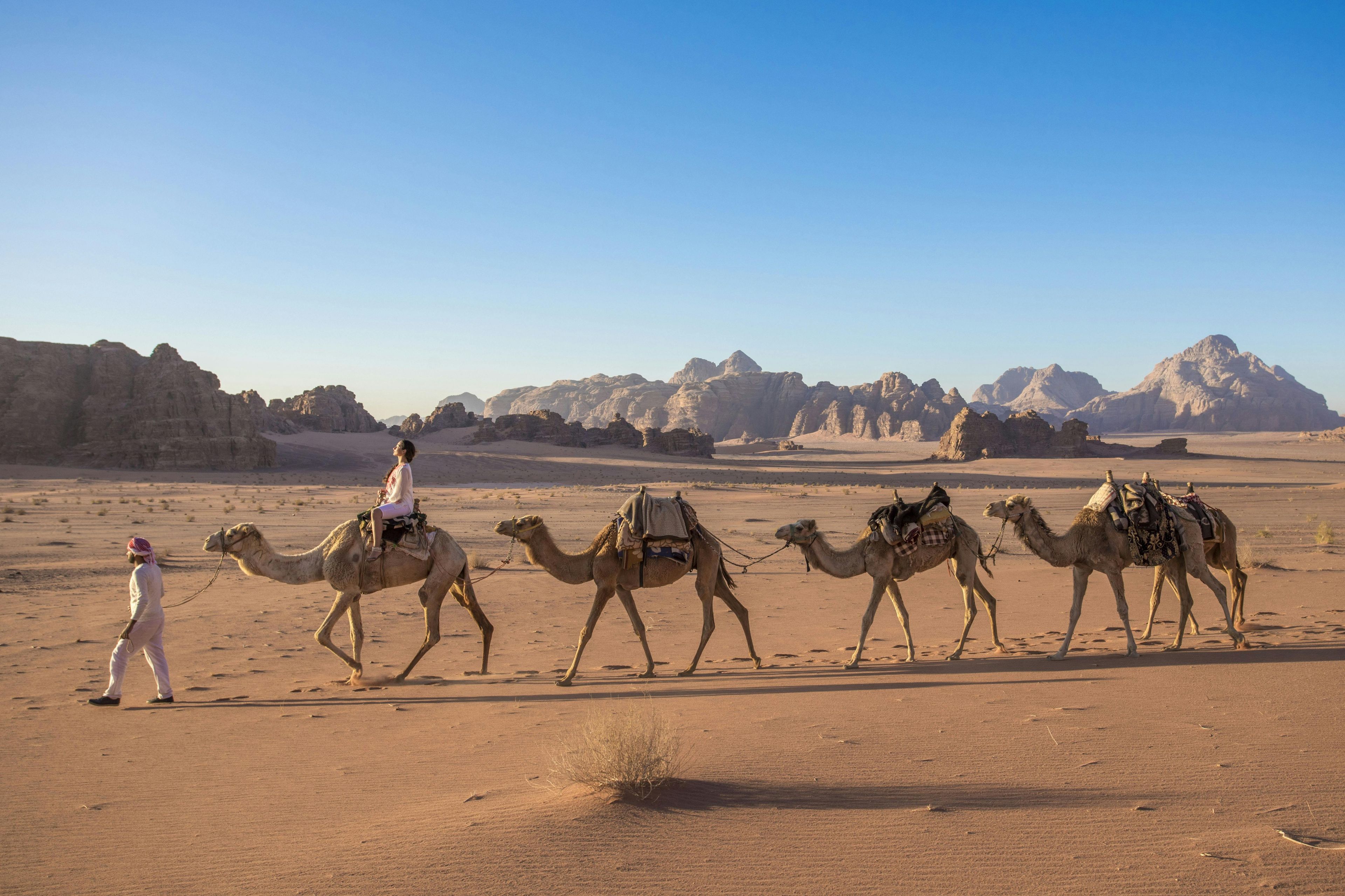 Imagen del tour: Tour privado de Wadi Rum desde el Mar Muerto