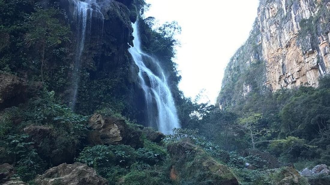 Imagen del tour: Visita guiada a la cascada Aguacero y la Reserva de la Biosfera Ocote desde Tuxtla Gutiérrez