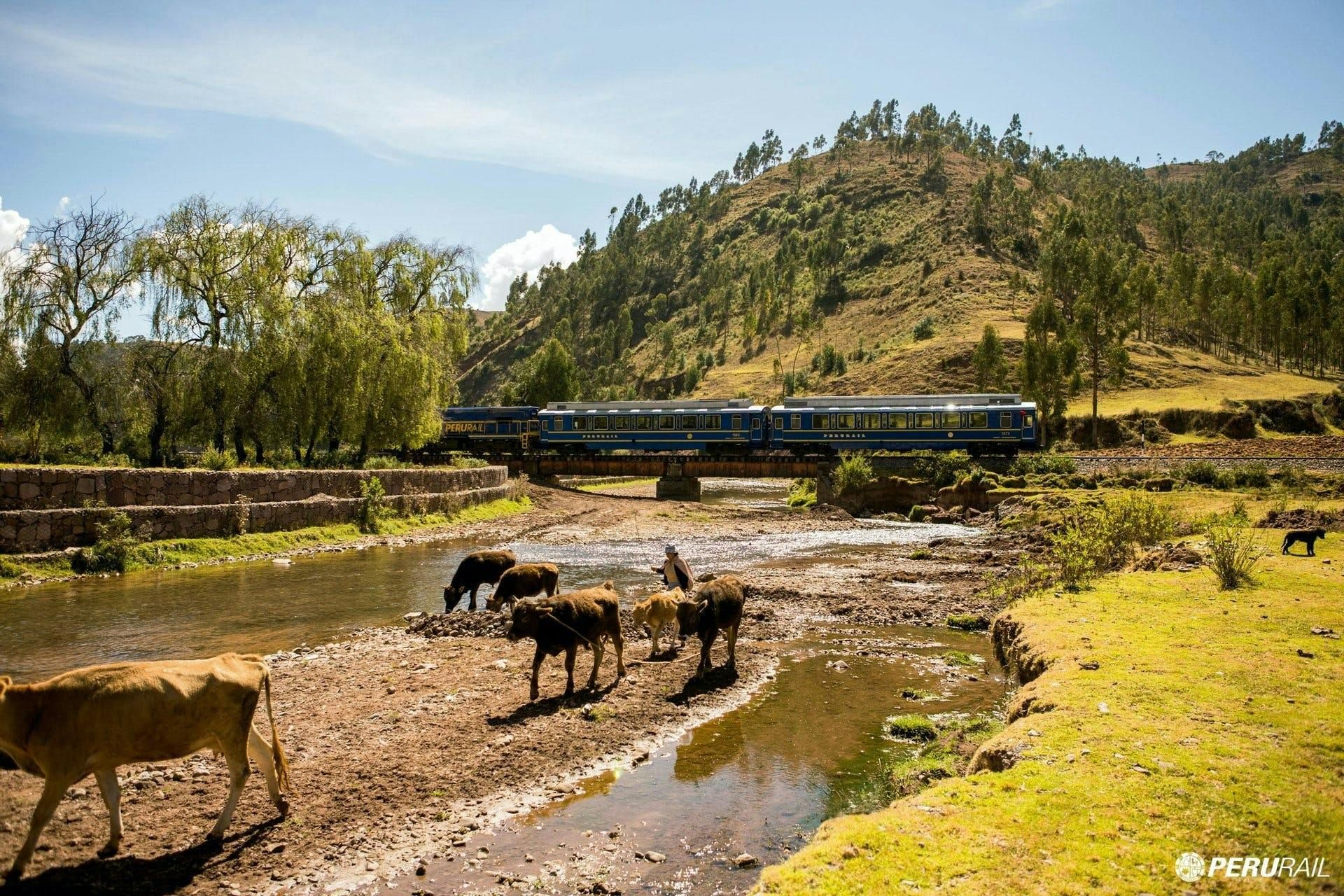 Imagen del tour: Tour guiado Full Day Machu Picchu a bordo del Tren Vistadome