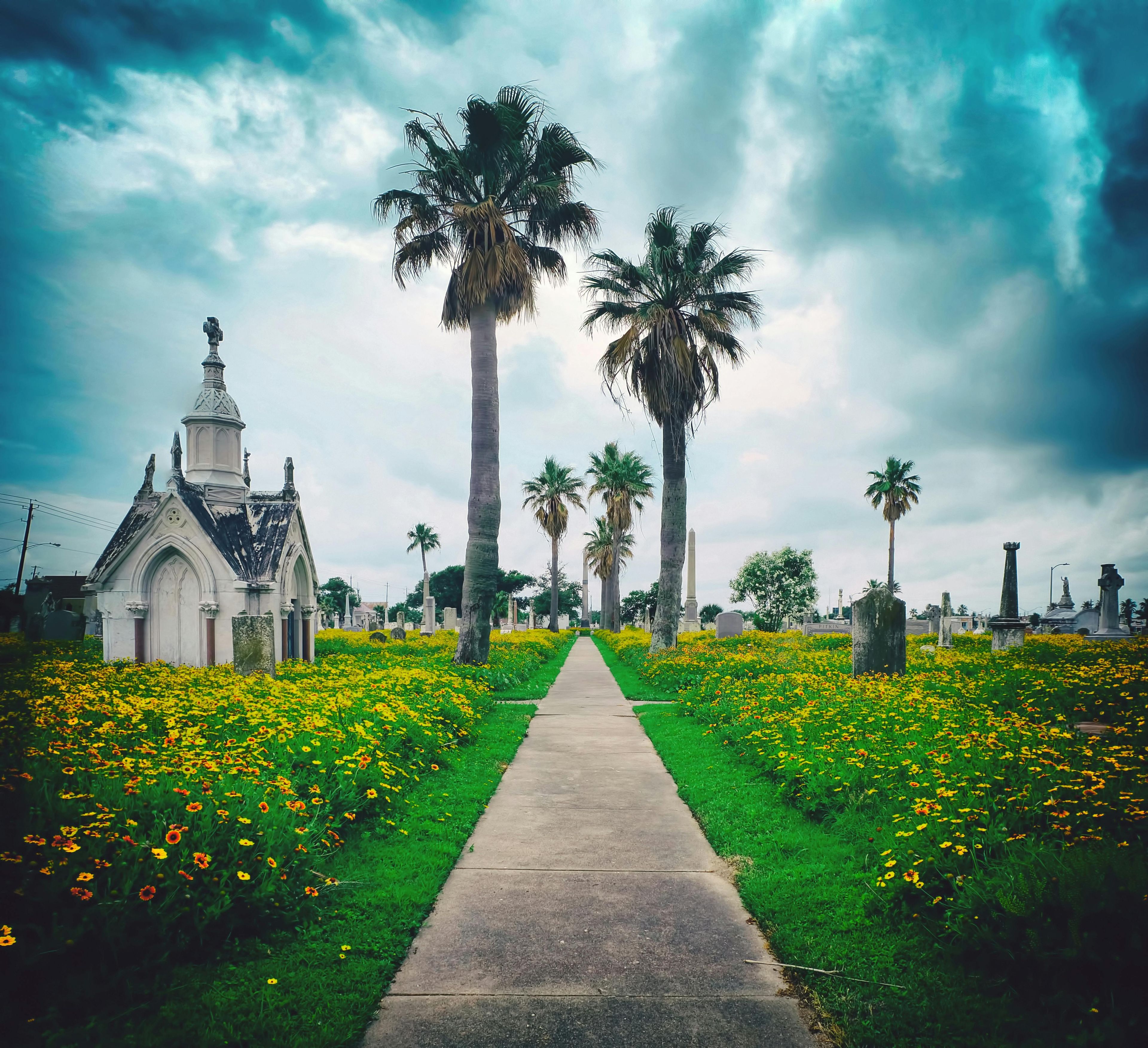 Imagen del tour: Recorrido a pie por el cementerio embrujado de Galveston