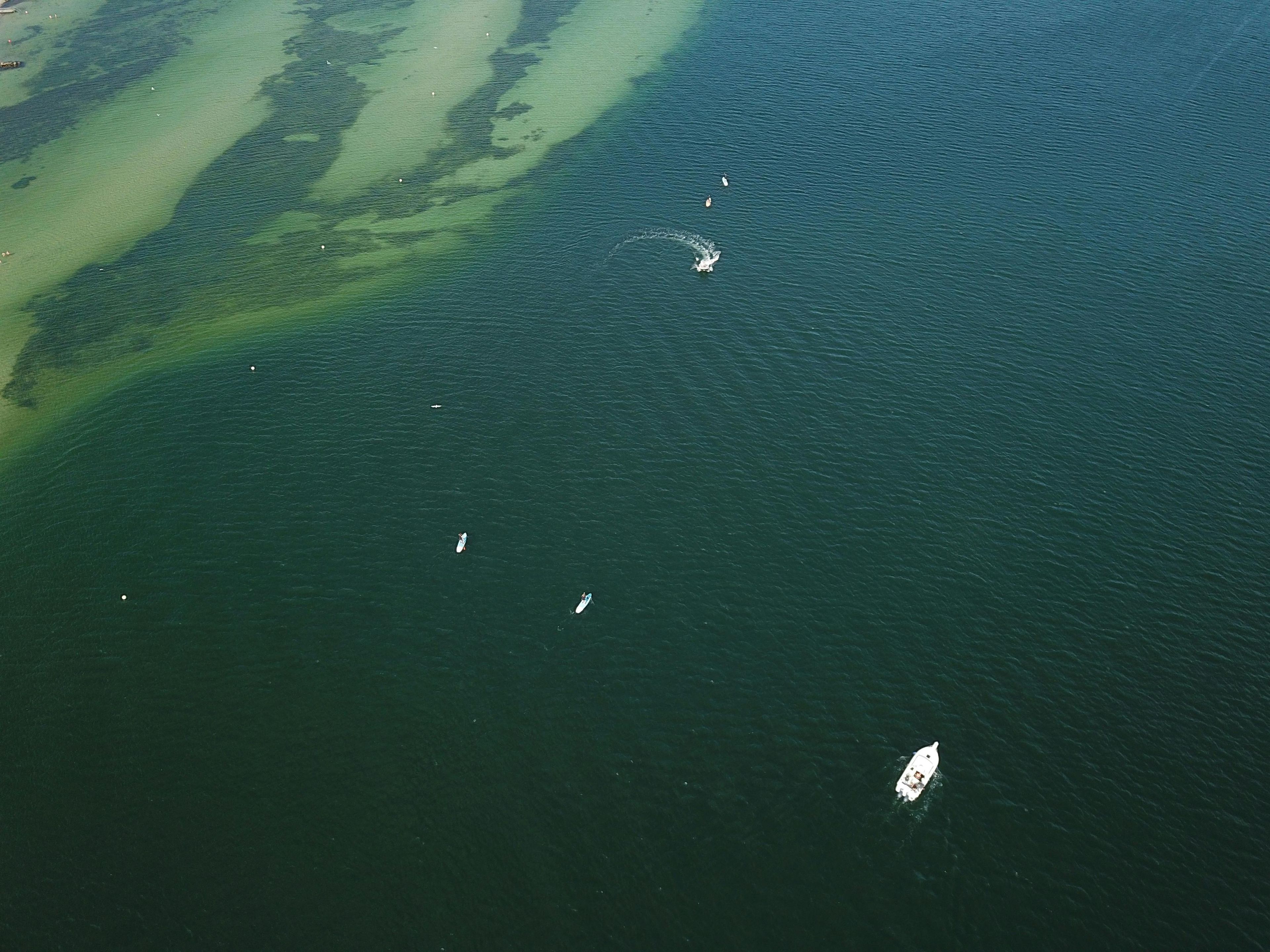 Imagen del tour: Sesión de wakeboard de 1 hora en el mar Báltico en Kiel
