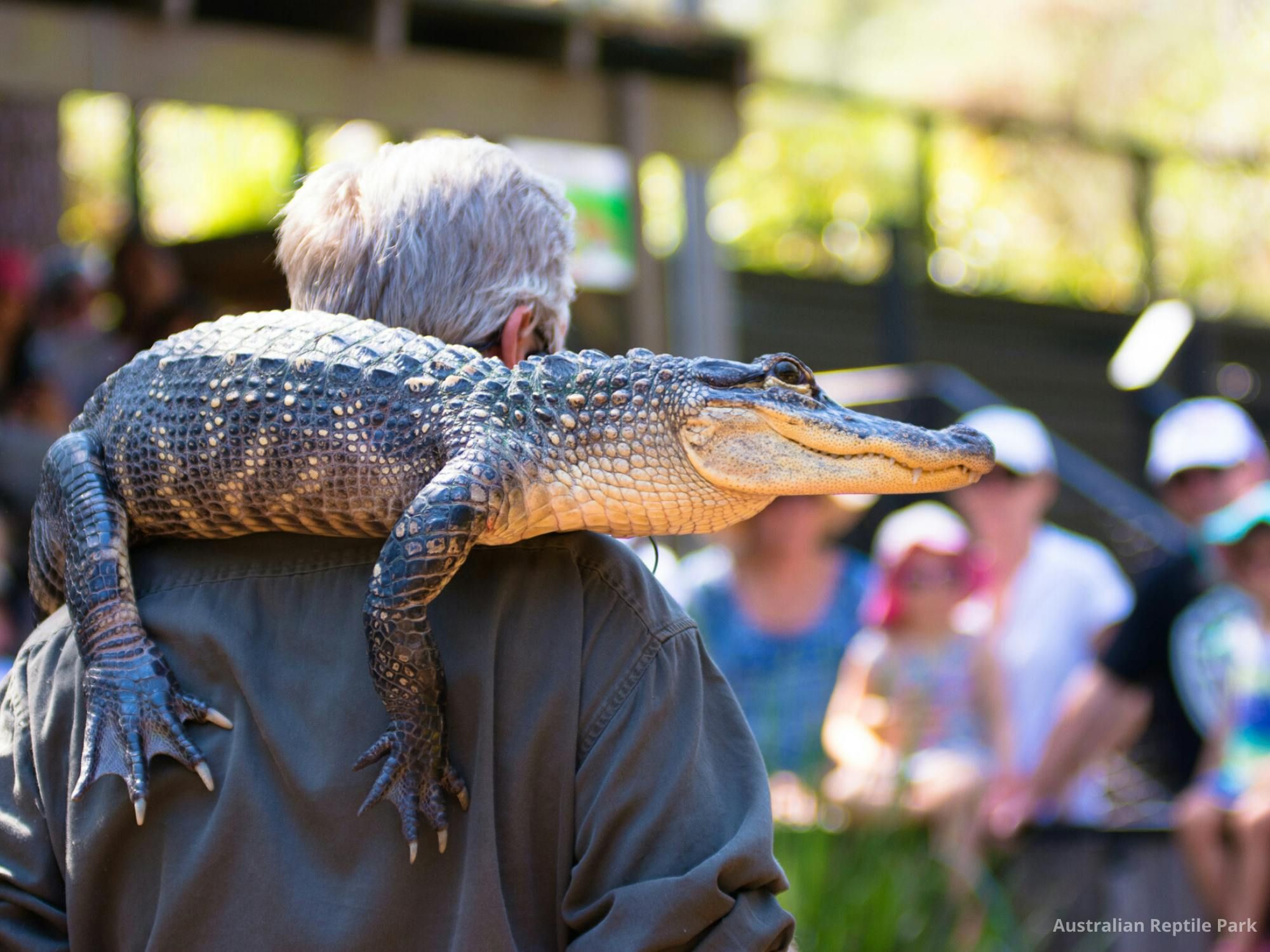Imagen del tour: Parque de reptiles australiano