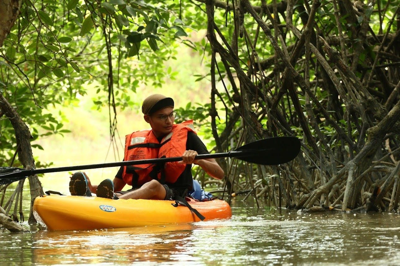 Imagen del tour: Aventura en kayak de medio día en el río Sedili