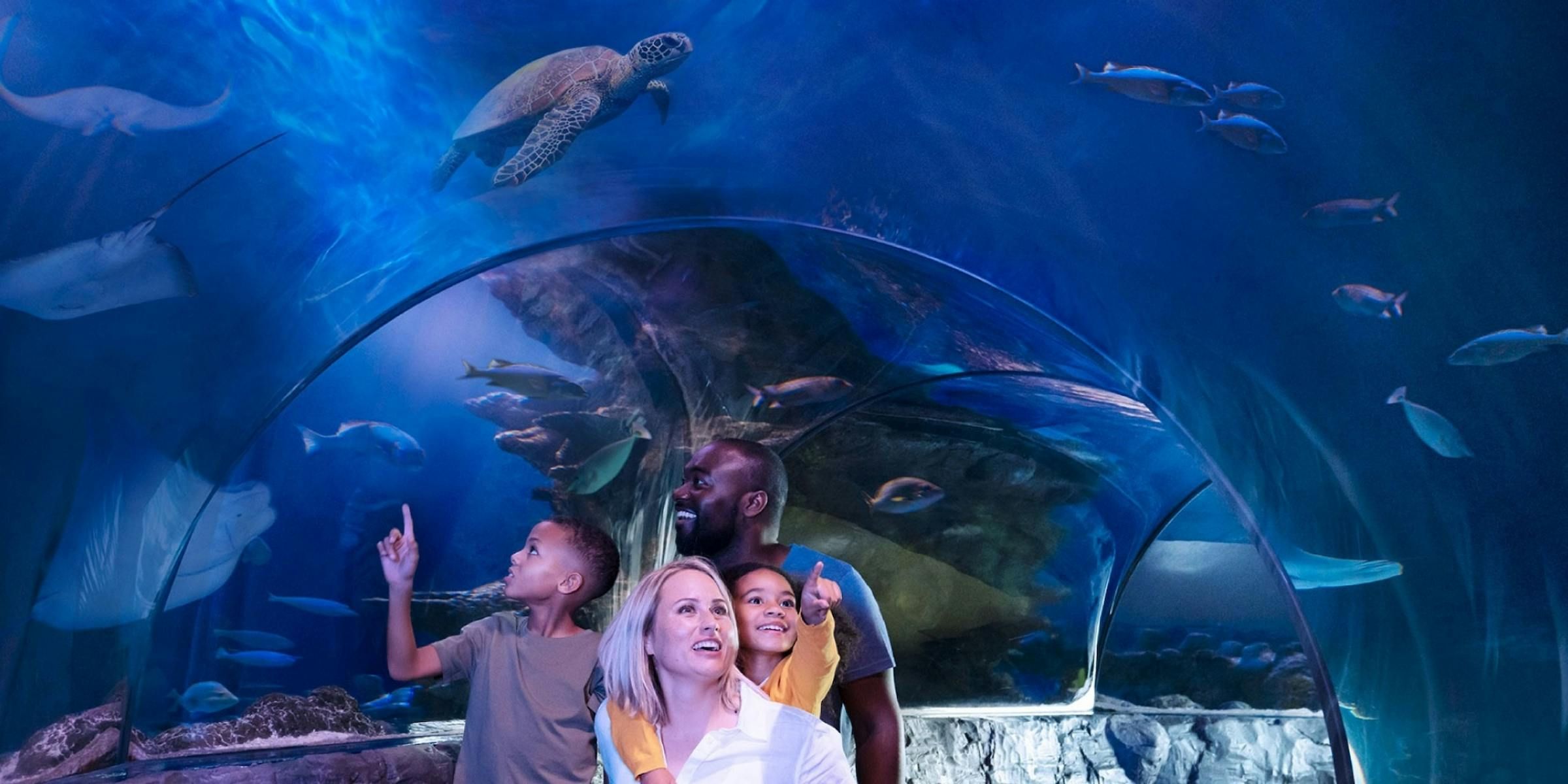 Imagen del tour: Boleto de entrada al acuario SEA LIFE de Kansas City