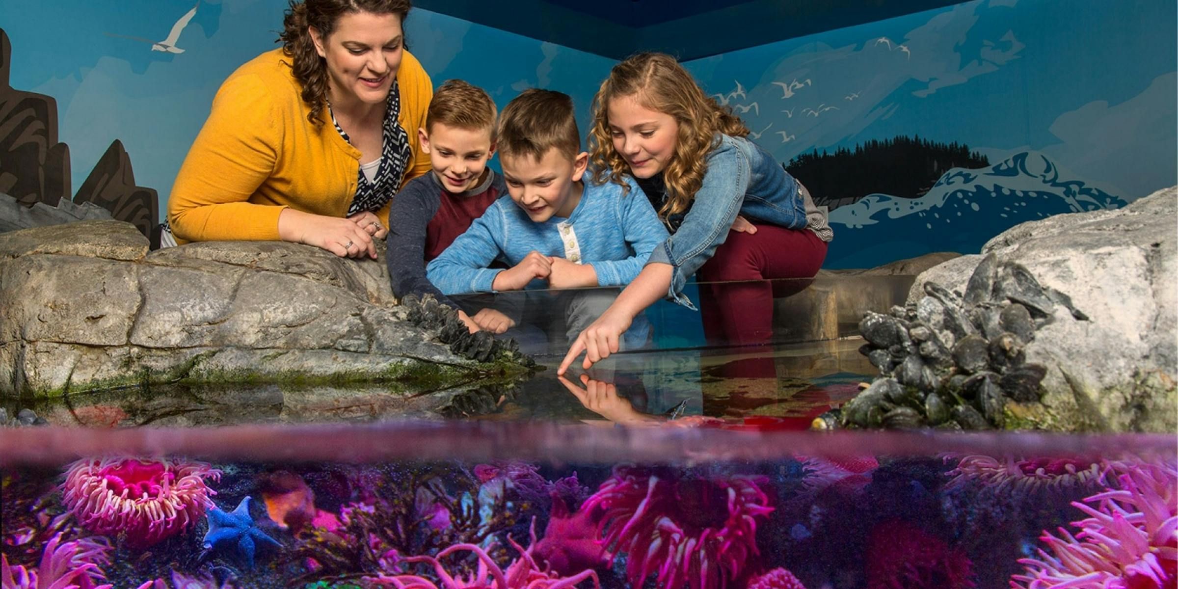 Imagen del tour: Boleto combinado LEGOLAND® Discovery Center y SEA LIFE Aquarium Kansas City