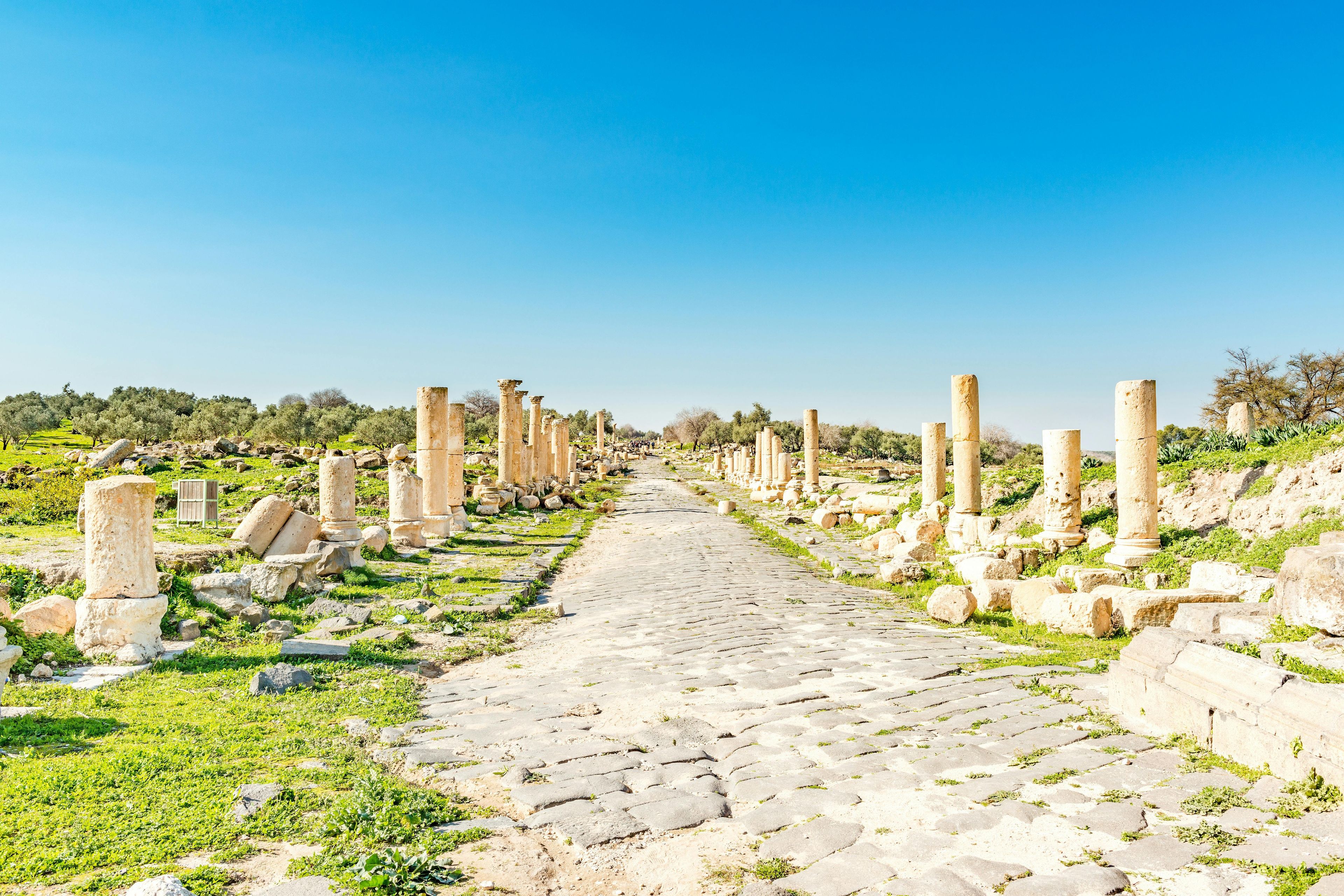 Imagen del tour: Tour privado de Jerash y Umm Qais desde el Mar Muerto