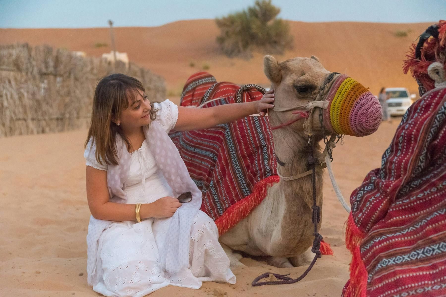 Imagen del tour: Excursión por el desierto de Dubái con cena barbacoa y conductor local