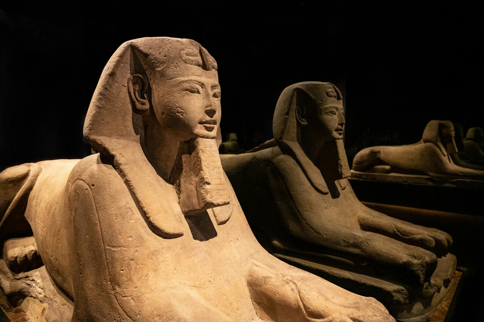 Imagen del tour: Recorrido por Turín con entradas y visita guiada al Museo Egipcio