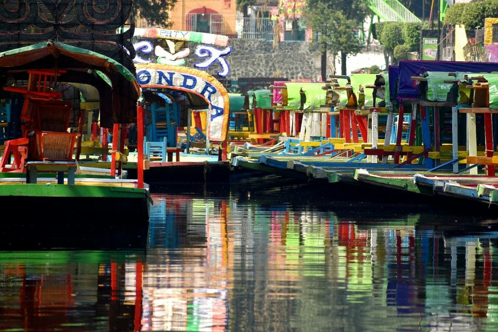 Imagen del tour: Tour privado de un día por Xochimilco, Coyoacán y el Museo de Frida Kahlo