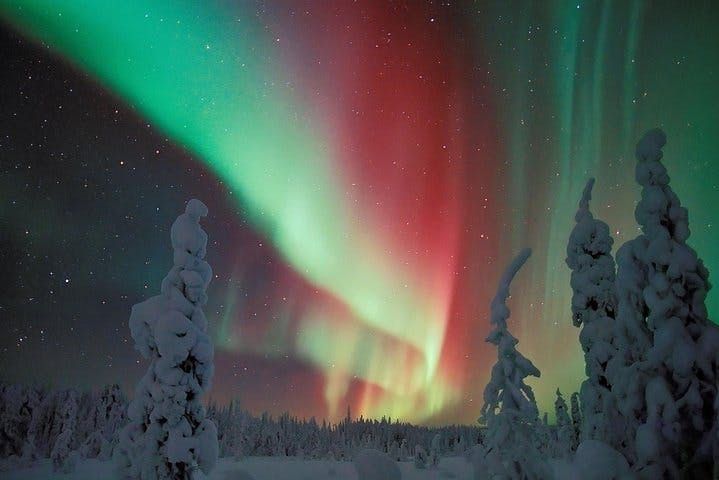 Imagen del tour: Caza de la aurora boreal con refrigerios en una fogata de Levi