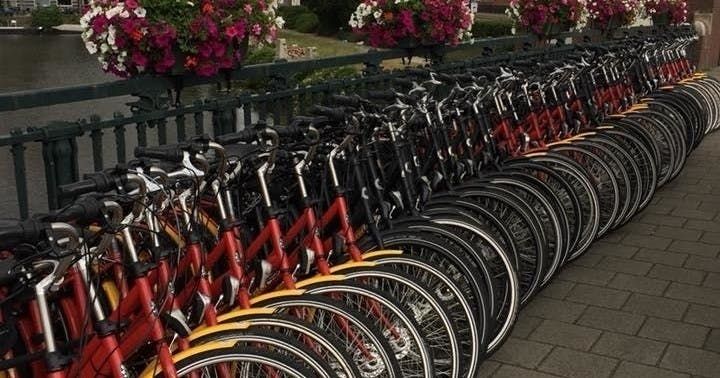 Imagen del tour: Alquiler de bicicletas de 3 horas en Ámsterdam con café de bienvenida