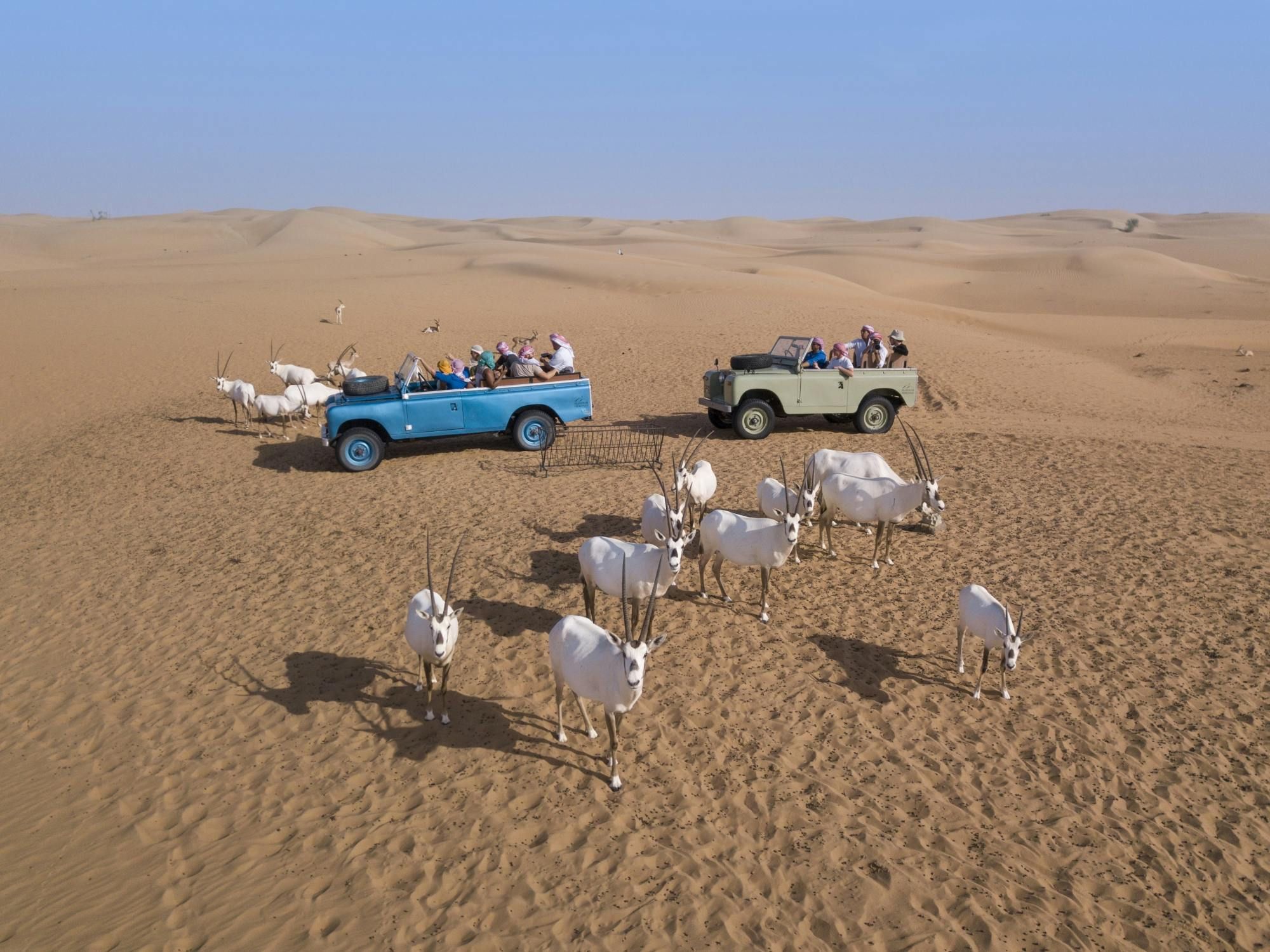 Imagen del tour: Safari por el desierto de Dubái en un Land Rover antiguo con cena
