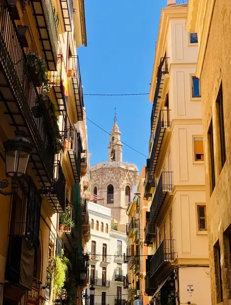 Imagen del tour: ¡Free tour en inglés por el centro histórico de Valencia!