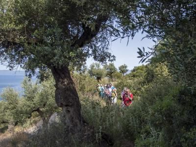 Imagen del tour: Excursión de senderismo por encima de Kalamata