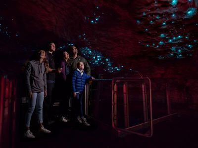 Imagen del tour: Excursión a la cueva de las luciérnagas en Te Anau