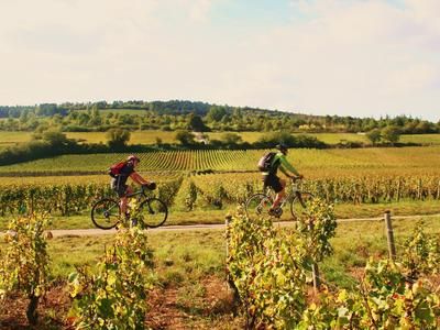 Imagen del tour: Descubrimiento de Borgoña en bicicleta de montaña cerca de Dijon