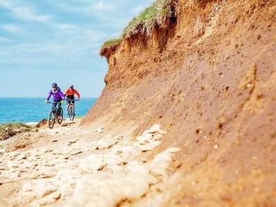 Imagen del tour: Excursión en bicicleta por la costa del Cabo Kamenjak