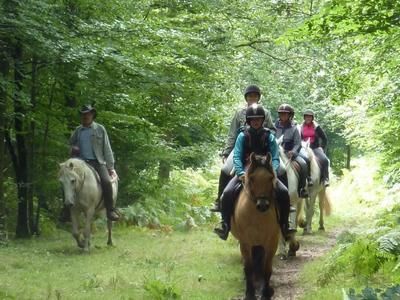 Imagen del tour: Cursos de equitación en el bosque de Brotonne, Normandía