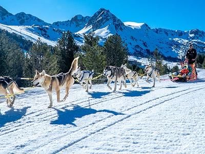 Imagen del tour: Excursión de Mushing - Trineo de Perros desde Grau Roig, Grandvalira, Andorra