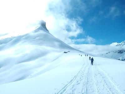 Imagen del tour: Excursión con raquetas de nieve en el valle de Chamonix