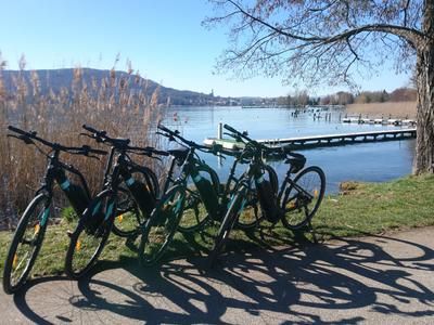 Imagen del tour: Alquiler de bicicletas eléctricas en Annecy, Alta Saboya