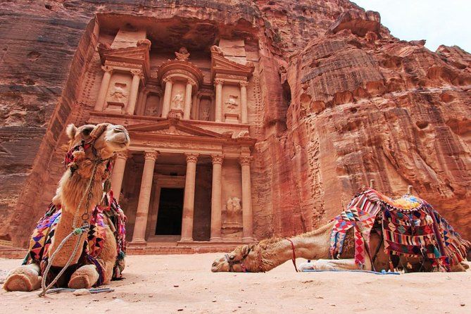 Imagen del tour: Petra y Wadi Rum: excursión privada al sur de Jordania desde Ammán