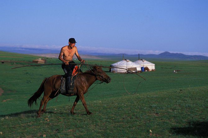 Imagen del tour: Parque Nacional de Terelj, excursión de un día a la estatua de Chinggis Khan