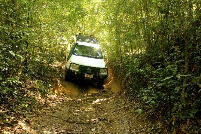 Imagen del tour: Barron Gorge y Kuranda National Park Half Day Rainforest y cascada 4WD Tour desde Cairns