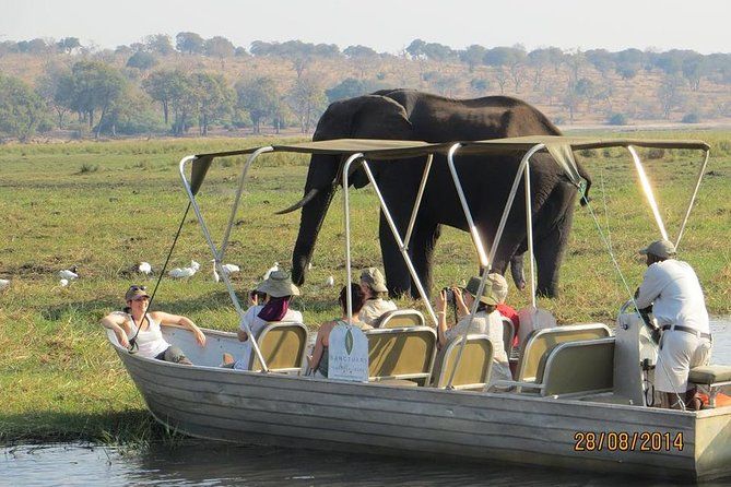 Imagen del tour: Escapada de un día a Chobe desde las Cataratas Victoria