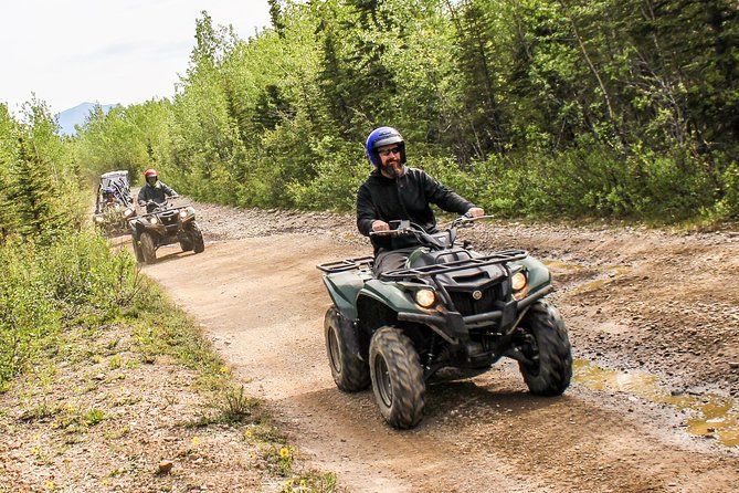 Imagen del tour: Recorrido campo a través de 3,5 horas en vehículo todoterreno en Denali