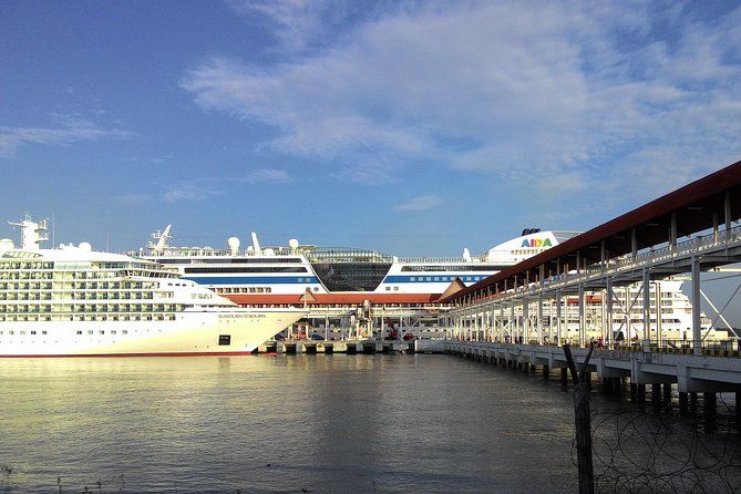 Imagen del tour: Crucero de Port Klang a KL City Tour con boleto KLTower y cueva Batu