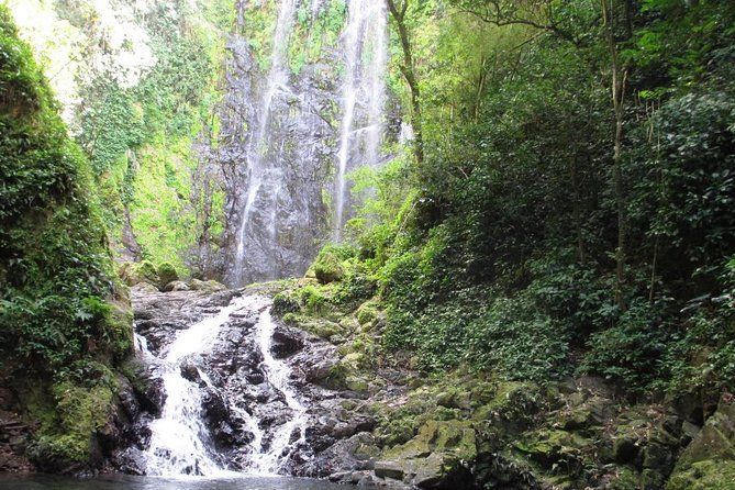 Imagen del tour: Aventura de senderismo a una cascada oculta