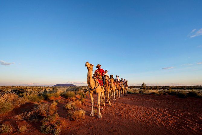 Imagen del tour: Excursión en camello al amanecer o el atardecer en Uluru