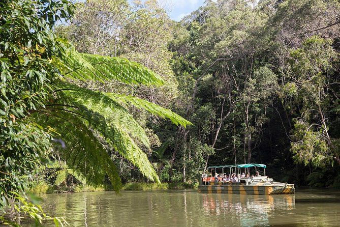 Imagen del tour: Escapada de un día a Kuranda desde Cairns en ferrocarril escénico y teleférico Skyrail con tour por la selva tropical en vehículo anfibio