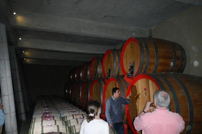 Imagen del tour: Recorrido vinícola privado en Valparaíso