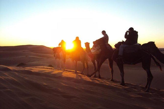 Imagen del tour: Recorrido privado de 3 días por el Sáhara y experiencia en el desierto Chegaga del Atlas, paseo en camello y campamento en el desierto