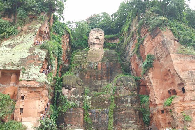 Imagen del tour: Recorrido destacado de Chengdu por la base de Panda y el Buda gigante de Leshan