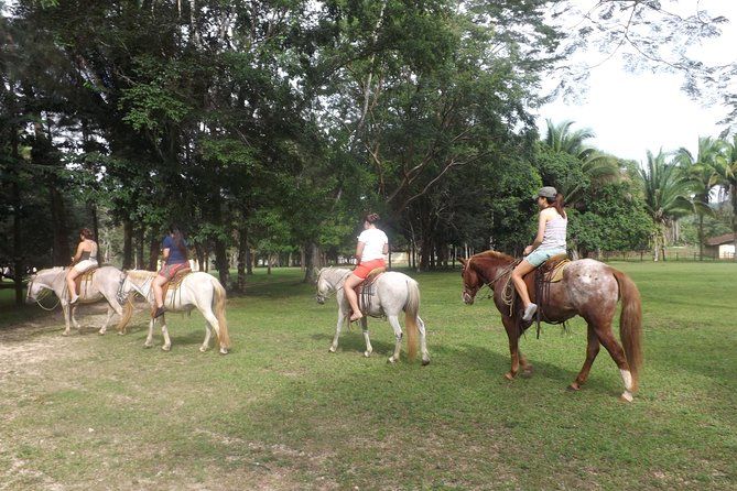 Imagen del tour: Tour de un día al Parque Natural Ixpanpajul
